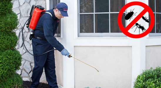 Altınova Hamam Böceği İlaçlama böcek ilaçlama ve haşere kontrolü — ilaclama-tr.com